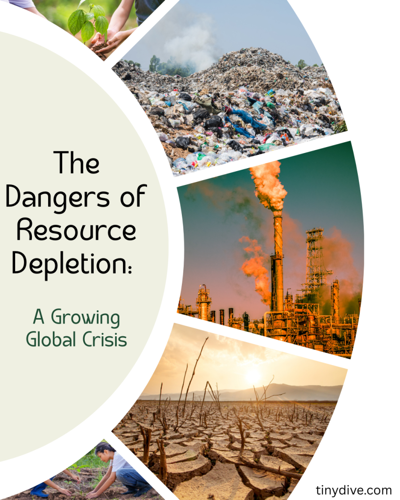 the dangers of resource depletion